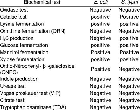 biochemical test for e.coli|biochemical test chart.